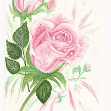 COMPOSICION BOTANICA . Desen realist de Lucrecia Olive - 02.05.2021