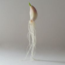 Cosas bonitas y sencillas. Un proyecto de Bellas Artes, Concept Art, Creatividad, Dirección de arte, Fotografía artística, Fotografía digital, Fotografía gastronómica, Fotografía publicitaria y Retoque fotográfico de Marta O Nilsson - 05.02.2021