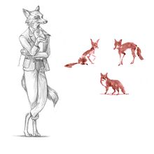 Fantastic Mr Fox. Character Design, Traditional illustration, Pencil Drawing, and Watercolor Painting project by Félicie Haymoz - 02.05.2021