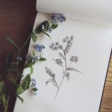 Forget Me Not. 3D, Traditional illustration, and Photograph project by amy___victoria - 04.23.2020