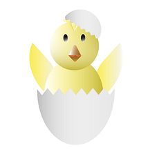 chick in egg . Un proyecto de Diseño de personajes de Martín Hustaix - 06.02.2021