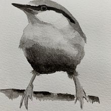 My project in Artistic Watercolor Techniques for Illustrating Birds course. Watercolor Painting project by annelies_geeraert - 02.06.2021