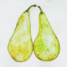 My project in Illustrating Nature: A Creative Exploration course. Traditional illustration project by silentgirl - 02.06.2021
