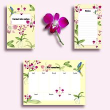 Botanical illustration with watercolors: Stationary set with orchids . Pictură în acuarelă de Tania Wyss - 02.06.2021