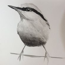 My project in Artistic Watercolor Techniques for Illustrating Birds course. Watercolor Painting project by fionawill - 02.07.2021