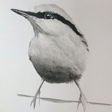 1st watercolour. Watercolor Painting project by fionawill - 02.07.2021