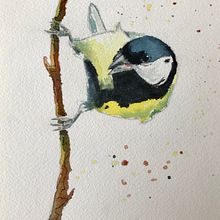 My project in Artistic Watercolor Techniques for Illustrating Birds course. Watercolor Painting project by Stéphane Stef - 02.07.2021