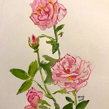 Roses . Pictură în acuarelă de Mary Lagdameo - 02.07.2021