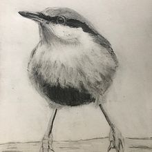 My Project in Artistic Watercolor Techniques for Illustrating Birds course . Artistic Drawing project by John Knapton - 02.07.2021