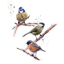 Watercolour birds on a branch. Watercolor Painting project by Sarah Stokes - 02.07.2021