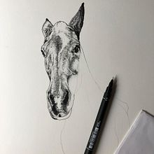 Caballo. Desenho projeto de Inés Calvo - 08.02.2021