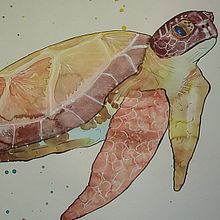 Selected projects in Experimental Watercolor Techniques for Beginners course. Watercolor Painting project by cathalijn - 02.08.2021