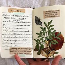 Mi Proyecto del curso: Técnicas básicas de prensado botánico. Projekt z dziedziny Kreat i wność użytkownika Alejandra Herrera Ruiz - 10.02.2021
