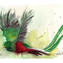 Painting birds......a wonderful new experience! Ein Projekt aus dem Bereich Aquarellmalerei von Juan De la Pena - 09.02.2021