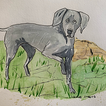 Blad.... Drawing, Ink Illustration, Sketchbook, and Watercolor Painting project by Wayne Strong - 04.05.2021