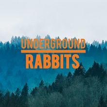Resumen del curso: Campañas para Underground Rabbits. Projekt z dziedziny Marketing c i frow użytkownika Albert Martín - 09.02.2021
