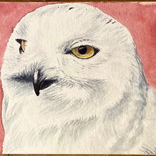 Snowy Owls . % Michael Angelis tarafından hazırlanan Suluboya Resim projesi - 02.09.2021