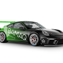 Porsche GT3 CUP - Paint Challenge. Design project by Laura Venturini Minotto - 09.09.2020