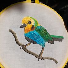 Bordado Needlepainting Ave Tangara Multicolor. Un progetto di Ricamo di Angelica Mariana Mejia Mendez - 08.02.2021