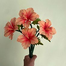 San Joaquines de mi corazón Ein Projekt aus dem Bereich H, werk, Bildende Künste, Zeichnung, Design, Industriedesign, Malerei und Farbenlehre von Manuela Maya Rendón - 10.02.2021