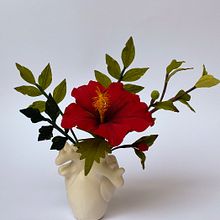Rojo pasión  Ein Projekt aus dem Bereich H, werk, Design, Industriedesign und Farbenlehre von Manuela Maya Rendón - 10.02.2021