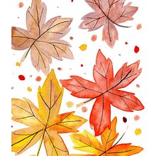Mi Proyecto del curso: Creación de paletas de color con acuarela. Un proyecto de Dibujo, Dibujo artístico e Ilustración tradicional de Connie Castillo - 11.02.2021