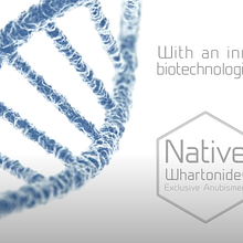 Reel 2020. Un progetto di Cinema, video e TV, Postproduzione audiovisiva e Produzione audiovisiva di Pablo Rogero San José - 01.01.2021