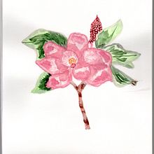Proyecto Magnolia, a mi color y estilo . % Natalia Saenz tarafından hazırlanan Sulubo, Ve a Resim projesi - 02.11.2021