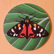 Scarlet Tiger Moth. Acr, lic Painting, Traditional illustration, and Paper Craft project by Liam O'Brien - 01.31.2021