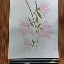 My project in Botanical Illustration with Watercolors course Ein Projekt aus dem Bereich Aquarellmalerei von Daniela de Bartolo - 14.03.2021