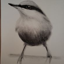I need a better eraser to lift off the extra heavy shading.. Watercolor Painting project by pchance_1 - 02.12.2021