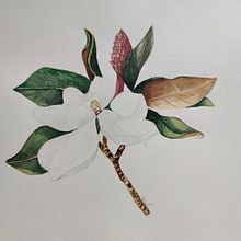 Mi Proyecto del curso: Ilustración botánica con acuarela. Fine Arts project by JESSICA RUIZ - 02.13.2021