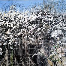  Shifting Perspectives. Acr, and lic Painting project by Sophie Parr - 02.13.2021