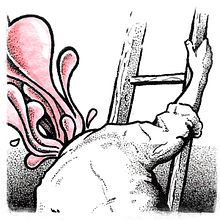 The Other Side. Un proyecto de Ilustración tradicional, Ilustración con tinta y Pintura a la acuarela de Gil H. - 13.02.2021