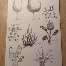 My project in Drawing for Beginners Level -1 course. Traditional illustration project by Alina Kramarenko - 02.13.2021