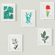 Mi Proyecto del curso: Cuaderno botánico en acuarela. Projekt z dziedziny R, sunek ołówkiem, R, sunek botaniczn i Malowanie akwarelą użytkownika Patricia Calzado Sierra - 13.02.2021