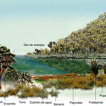 Gente y Naturaleza. Un projet de Illustration traditionnelle de Nurys Esperanza Silva Cantillo - 13.02.2021