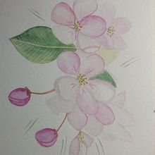Mi Proyecto del curso: Creación de paletas de color con acuarela. Watercolor Painting project by Isabel Delgado Martinez - 02.14.2021