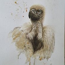 My project in Artistic Watercolor Techniques for Illustrating Birds course. Watercolor Painting, Traditional illustration, Realistic Drawing, and Naturalistic Illustration project by hmaria68 - 03.14.2021