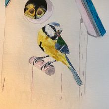 Coursework Artistic Watercolour Techniques for Illustrating Birds . Drawing, and Watercolor Painting project by Lesley Hodgson - 03.23.2021