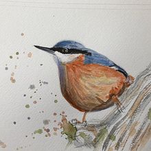 My project in Artistic Watercolor Techniques for Illustrating Birds course. Architectural Illustration, and Fine Arts project by Cindy Faulkner - 02.14.2021
