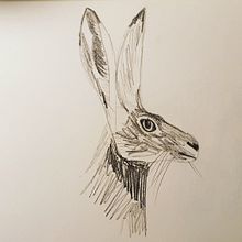 Animals. Projekt z dziedziny R i sunek ołówkiem użytkownika Anne Brundell - 30.11.2020