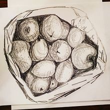 Fruit. Projekt z dziedziny R i sunek ołówkiem użytkownika Anne Brundell - 18.01.2021