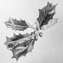 Plants. Projekt z dziedziny R i sunek ołówkiem użytkownika Anne Brundell - 23.11.2020