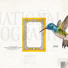 National Geographic Vintage Tote Bag. Creativit, Design, Editorial Design, Graphic Design, and Editorial Illustration project by Martín Korinfeld Ruiz - 09.17.2019