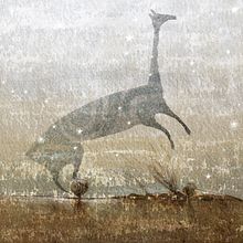 Libro La tierra del cielo. Un proyecto de Ilustración editorial de Leonor Pérez B. - 14.02.2021