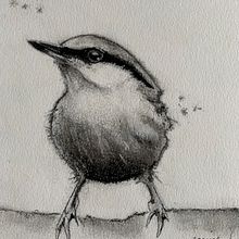 My project in Artistic Watercolor Techniques for Illustrating Birds course. Un proyecto de Pintura a la acuarela de Corina Calabrese - 23.02.2021