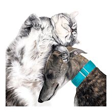 Mi Proyecto del curso: Ilustración digital con lápices de colores. Een project van Redactionele illustratie van Alba Torres - 15.02.2021