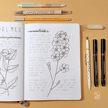 Bullet Journal personal | Introducción al bullet journal ilustrado. Un proyecto de Caligrafía e Ilustración con tinta de Niabellum - 15.02.2021