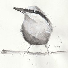 Little Bird ; Kim DePalmer. Watercolor Painting project by Kimberly DePalmer - 02.16.2021